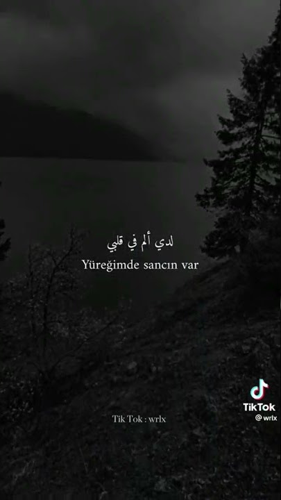 Anlasana🖤🎧🖤 #music #lyrics #wrlx