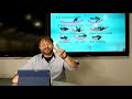Understanding Tone in English Communication