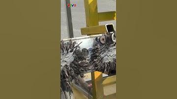 TP. HCM: Đinh tặc lại hoành hành trên quốc lộ 1 đoạn qua TP. Thủ Đức