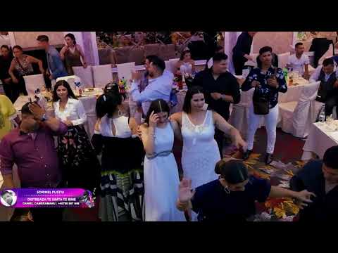 Sorinel Pustiu - Distreaza te simte te bine New Live 2017