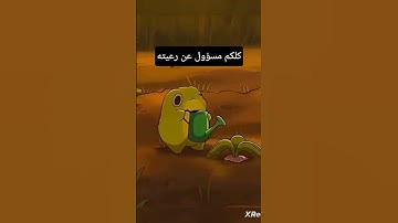 تلاوة هادئة 😴 #القرآن_الكريم #اطمأن #اجر #صلى_ع_النبى #ستوريات_دينية #هدوء #فلسطين_حرة #اكسبلور