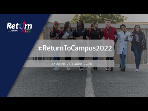 Return to Campus - Experience Student Life