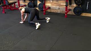 4 Way Bear Crawl