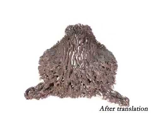 Quaternion Julia Set