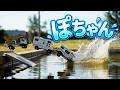 🚗💦【まさかの結末!?】坂をくだるミニカーが…ぽちゃん😱🌈 何回落ちる？スローモーション付き！ Down the Hill and SPLASHES! #はたらくくるま #しょうぼうしゃ