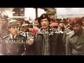 الي سمك انتي عضمه الي سمك انتي عضمه
