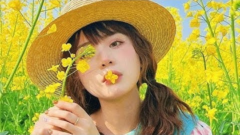 Nungsi Hekta Hyragey manipuri status video || Alight motion XML 5mb preset