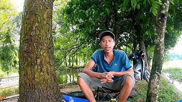 Ra Hồ Núi Le Test Mồi Ngũ Cốc Và Kết Quả Bất Ngờ P3 Nhí CuTe