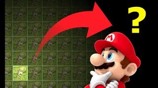 It Takes FOREVER To Walk Here in SM64DS!