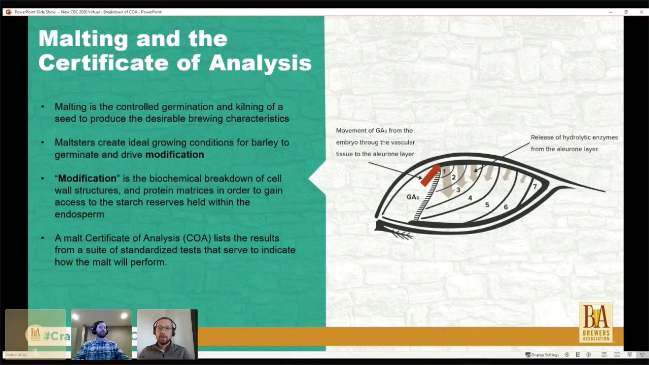 Breakdown of a Malt COA Bucket Analysis Approach YouTube