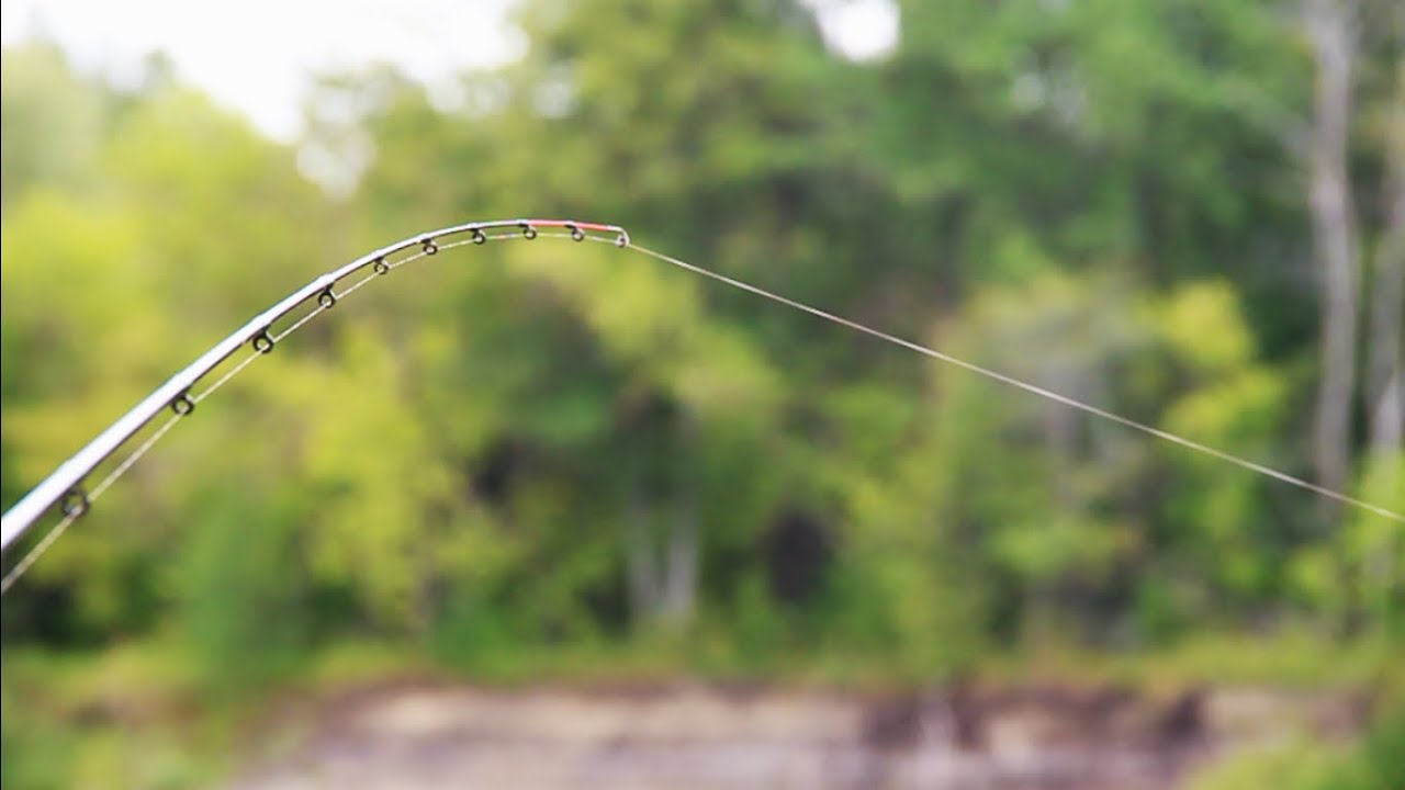 ПОКЛЁВКИ-ОТДАЙ ФИДЕР!!!РЫБАЛКА НА ФИДЕР и ФЛЭТ ФИДЕР 2024! - YouTube