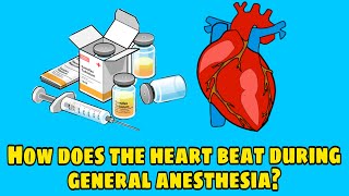 How does the heart beat during general anesthesia even the body is in a state of complete cessation