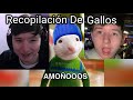 ¡NUEVA! Recopilación De Gallos De Jelty 🐓