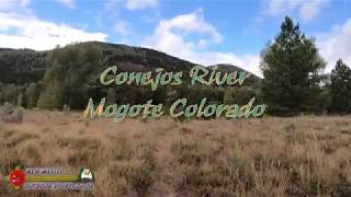 Conejos River Trout Fly Fishing Public Access