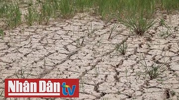 5 tỉnh miền Tây công bố tình huống khẩn cấp về hạn, mặn