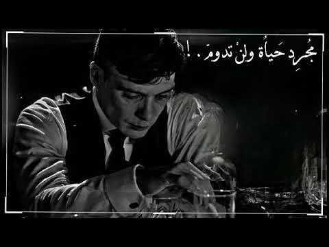 بياع من يشتري حلمي ومواويلي شادي ايوب ترندات التيك توك اغاني تك توك جديدة شادي ايوب 2024