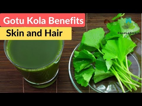 Gotu Kola Benefits for Skin and Hair | Gotu Kola Health Benefits | Healthyfoods4life