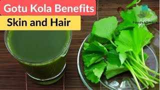 Gotu Kola Benefits for Skin and Hair Gotu Kola Health Benefits Healthyfoods4life