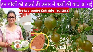 अनार(Pomegranate ) में एक भी फूल नहीं गिरेगा, इतने फल लगेंगे की तोड़ते थक जाओगे#fertilizer #flowers