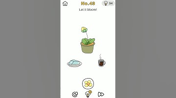 Crazy Find Level 43 Brain Out #shorts #brainout #crazyfind