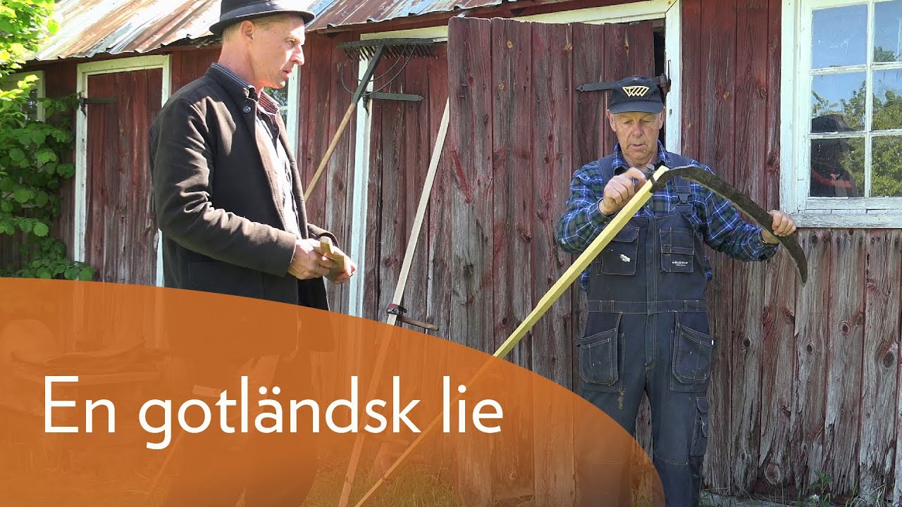En gotländsk lie
