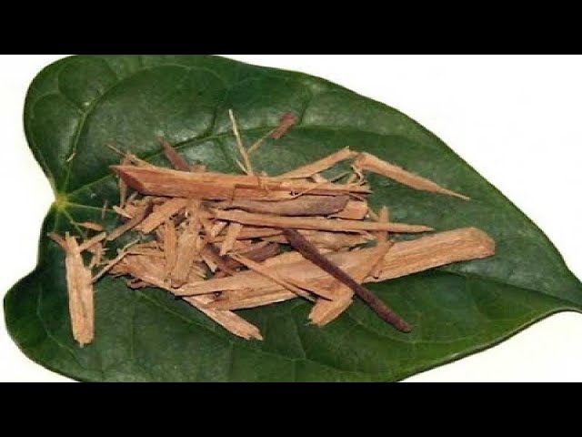 Estimulante Mais Poderoso Para Mulheres!! Aumenta o Libido e Rejuvenesce 💖 REMÉDIO CASEIRO 113 Estimulante Mais Poderoso Para Mulheres!! Aumenta o Libido e Rejuvenesce 💖 REMÉDIO CASEIRO 113 #1