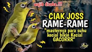 Masternya Suhu Kecial Kuning Ciak Joss RAME-RAME Ampuh bikin Kecial GACOR.!!!