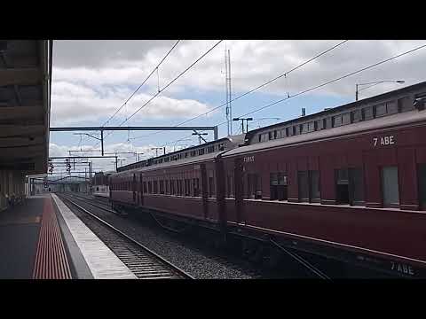 Australian Locomotives - Steamrail Victoria - Rail and Sail