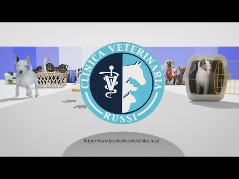 Video: Assistenza Veterinaria A Basso Costo Per I Bisognosi