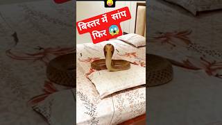 Instagram Funny Comments😆 , new video2026. #funnycomments #comedy #shorts #roast ।