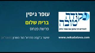 ברית שלום | פרשת פנחס | עופר גיסין