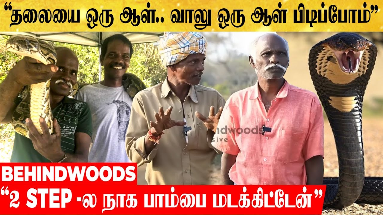 "பாம்பு பிடிக்க ஆசையா இருக்கும்.. ஓடி ஓடி பிடிப்போம்" பத்மஸ்ரீ வாங்கிய SNAKE CATCHERS YouTube