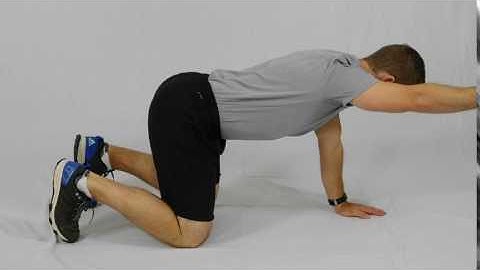QUADRUPED ALTERNATING SINGLE ARM REACH