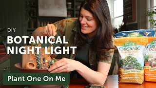 Build a BOTANICAL NIGHT LIGHT Fairy Garden — Ep. 359 by Summer Rayne Oakes 16,734 views 3 months ago 17 minutes