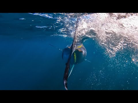 Jigging for Giant Bluefin Tuna | Cape Cod, MA | S20 E07