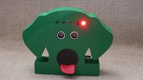 Touchless Dog Hand Wash Timer