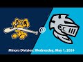 Minors  riverdogs  knights 5124