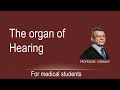 The organ of hearing