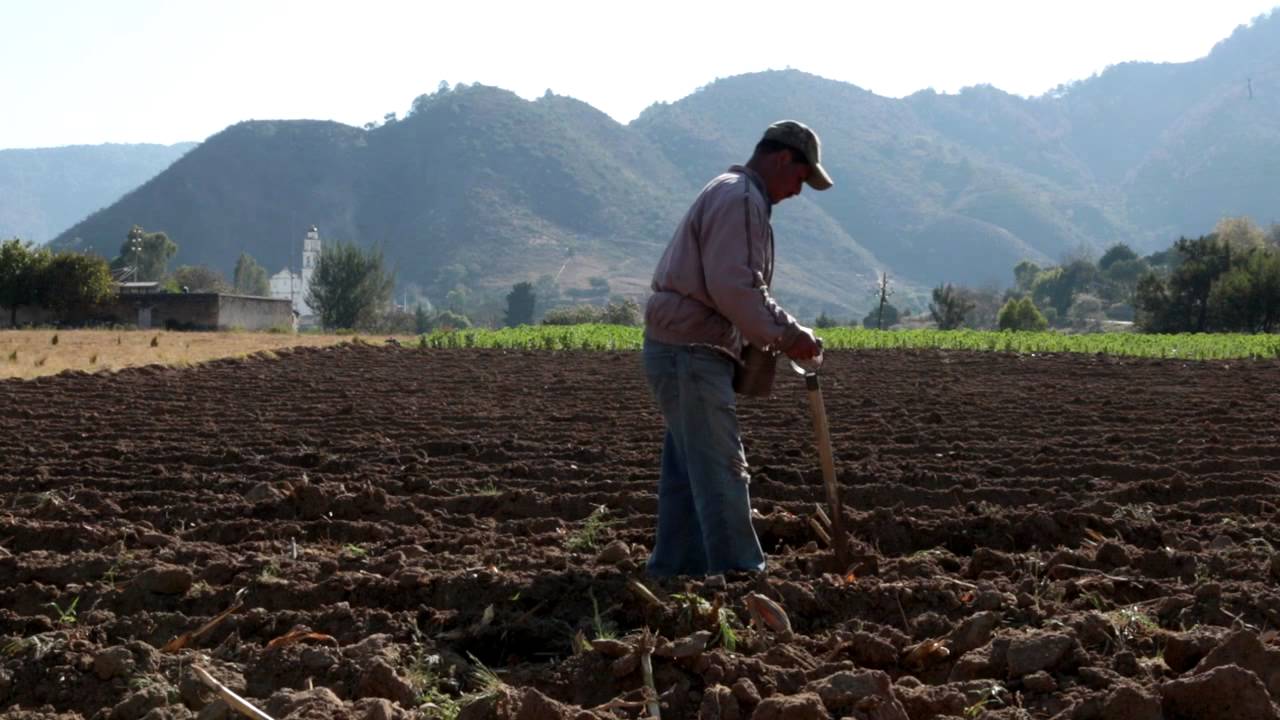 Sierra Norte por la Vida - YouTube