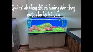 Quá trình thay đổi và hướng dẫn thay nước cho hồ thuỷ sinh phong cách Hà Lan