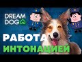 Работа интонацией 🐶 Почему нельзя кричать и уговаривать собаку 🐕 Как щенок слышит разных хозяев 🐩