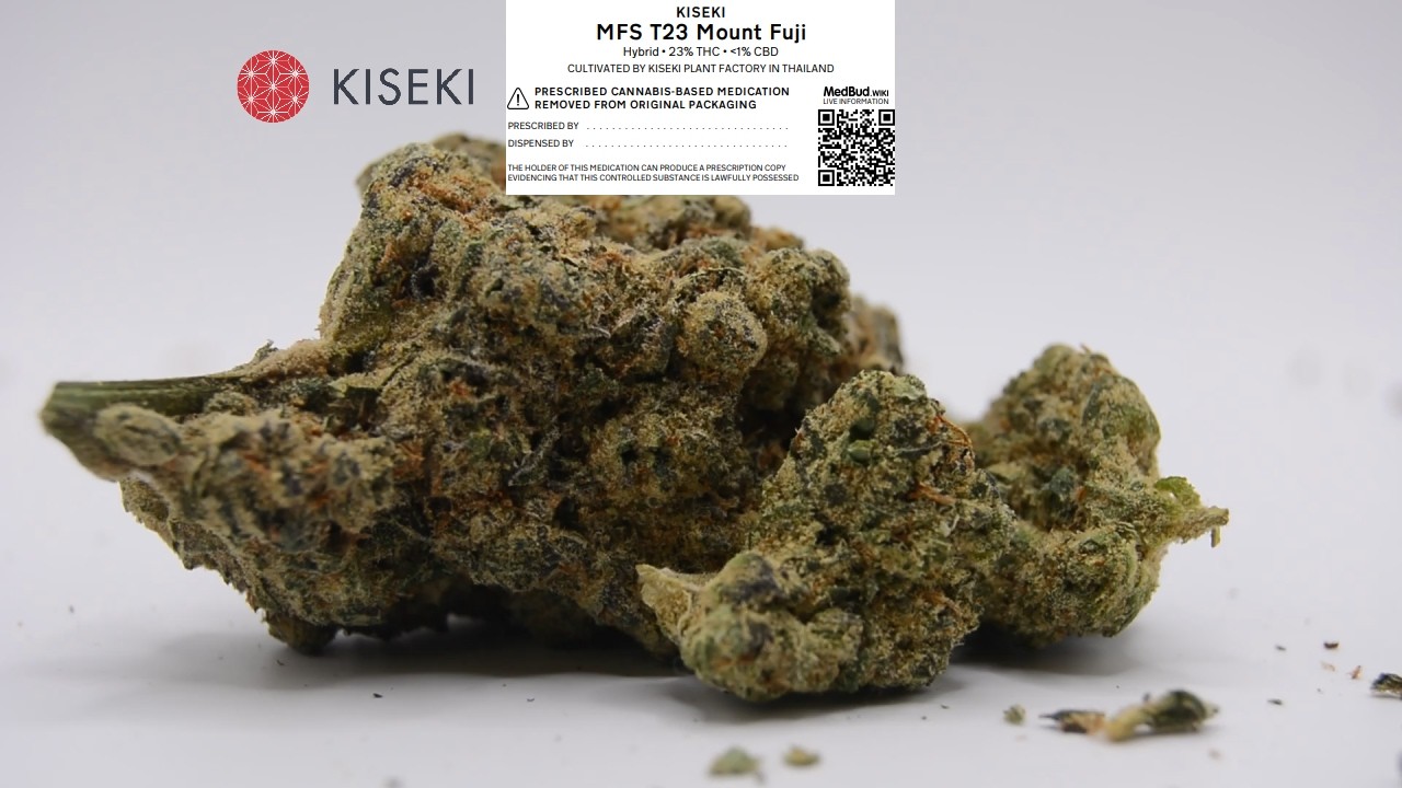 Kiseki T23 MFS Mount Fuji Sugar - eastern indulgence