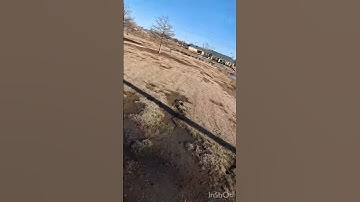 I hit this tree branch with my Cinelog35 V2😂 #drone #fpvdrone #fpv #cinematicfpv #fpvdrones