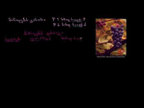 მიწოდების კანონი