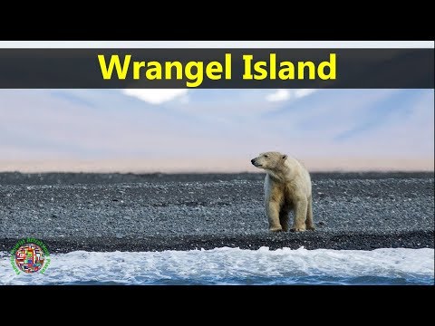 Video: Obiective Turistice Din Rusia: Insula Wrangel