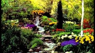 Bela Bartok - Sz. 44 - Seven Sketches, Op. 9B - 7 - Chris Breemer