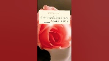 سورة الانفال اية (٣٣)