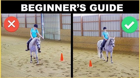 HOW TO STEER A HORSE (Tips for Success ) 🐴