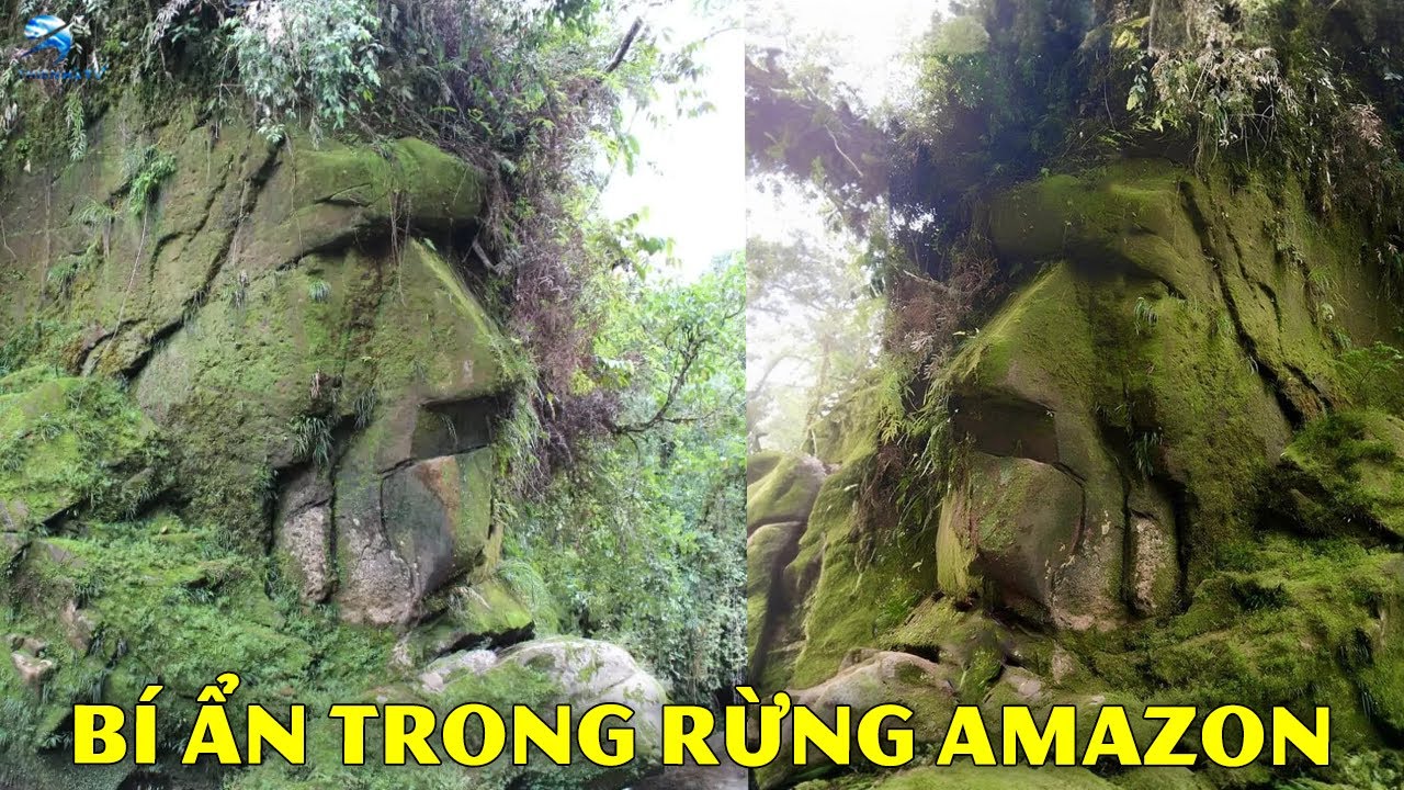 7 Bí Ẩn Kỳ Lạ Nhất Trong Rừng Amazon Khiến Khoa Học Cũng Phải Bối Rối | Thiên Hà TV