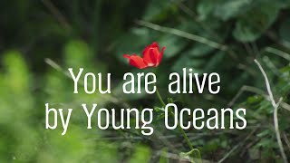 Watch Young Oceans You Are Alive video